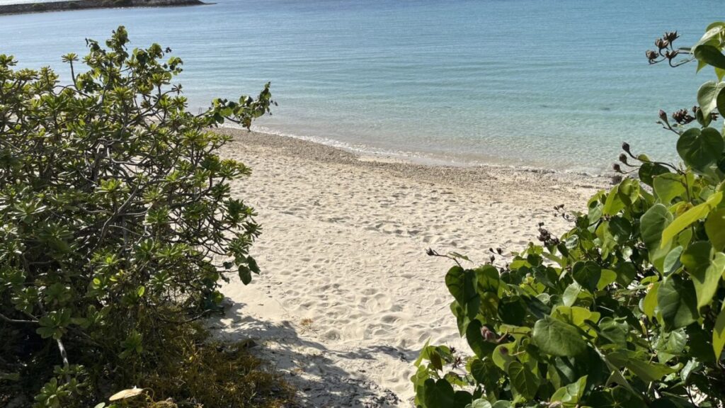 南浜公園の砂浜
