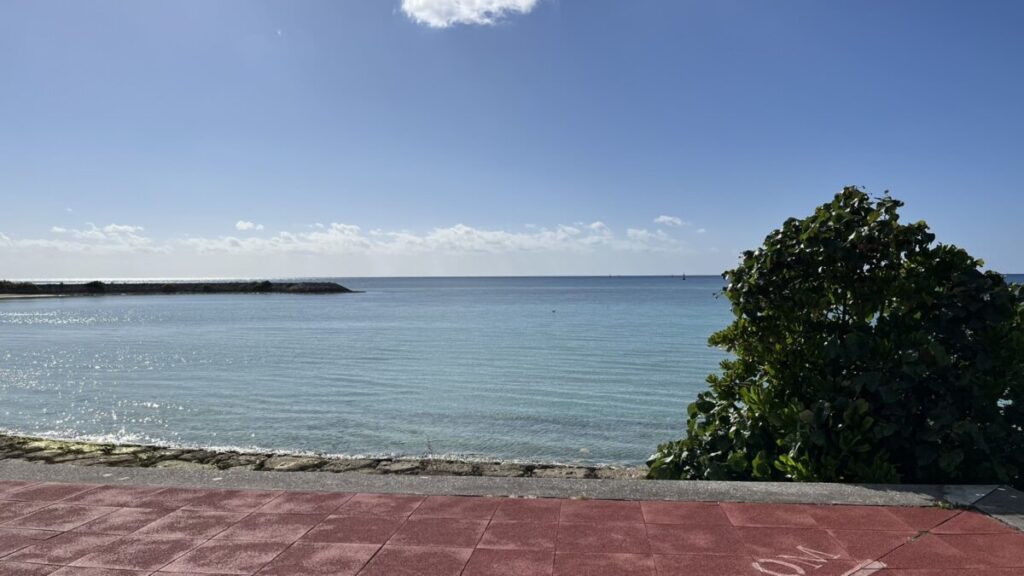 海沿いの遊歩道