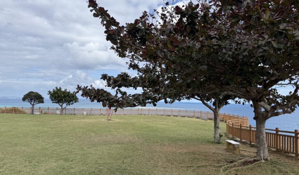 整備された遊歩道