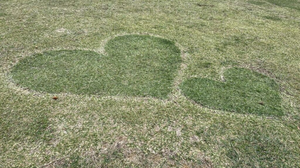 高低差のある散策路