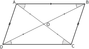 合同な三角形OABとOCDで対応する辺AOとCO・BOとDOが等しいことを示した図