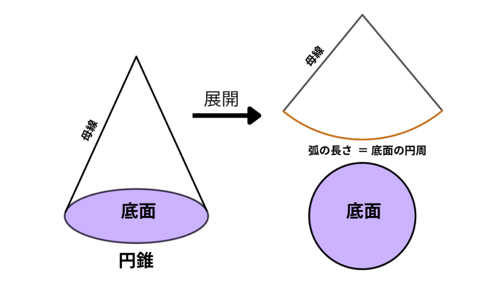 円錐の立体図と展開図を並べ、扇形の弧の長さが底面の円周と等しいことを示した図