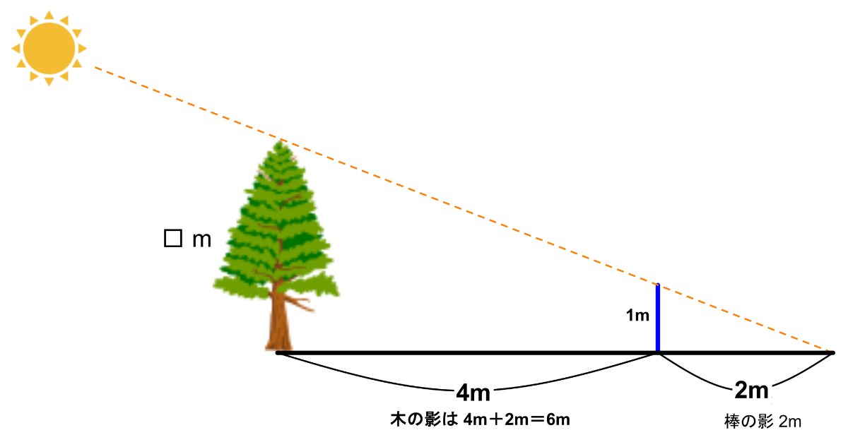 木の影の中に高さ1mの棒を立てた図。棒の影は2m、木の影は4mと2mを合わせた6mで、木の高さを□mとしている