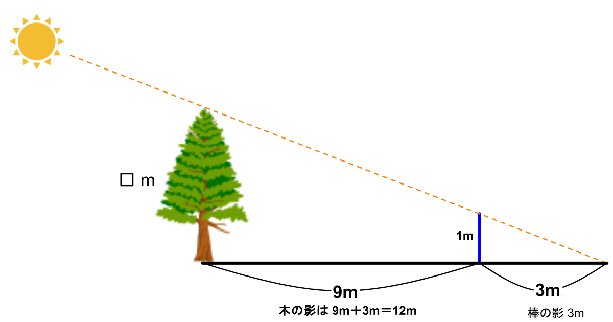 練習問題の図。木の影の中に高さ1mの棒が立ち、棒の影は3m、木の影は9mと3mを合わせた12mで、木の高さを□mとしている